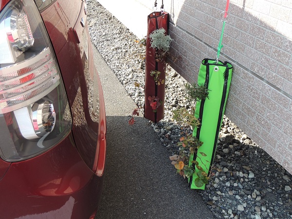 サンプルイメージ